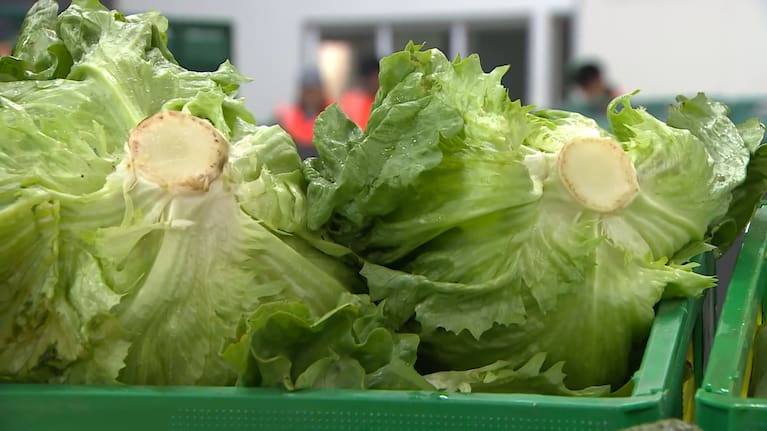 Lettuce sold at a supermarket (file image).