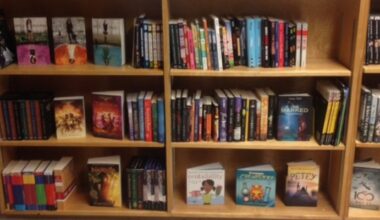 NL Public Libraries Trying to Reduce Wait Times on Libby App