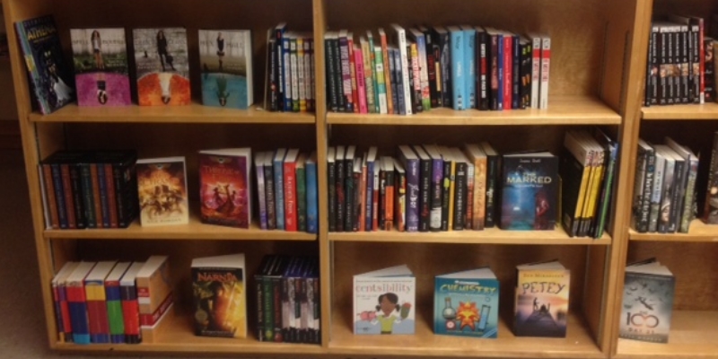 NL Public Libraries Trying to Reduce Wait Times on Libby App