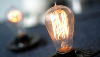 Power company Genesis wants to ban incandescent light bulbs