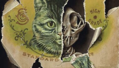 a trompe leoil painting by Jason Limon of a torn memorial and cat skeleton