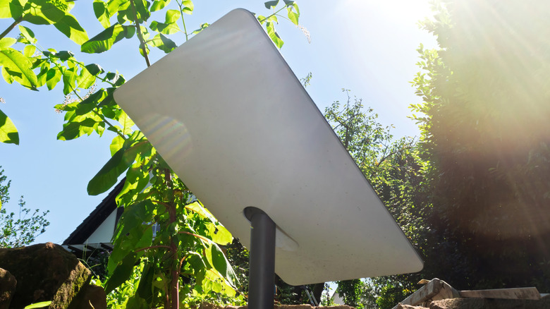 A Starlink dish sitting underneath foliage and trees