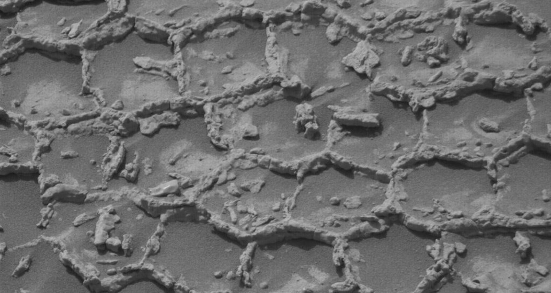 Honeycomb structures spotted on Mars photo of the day for July 14, 2026
