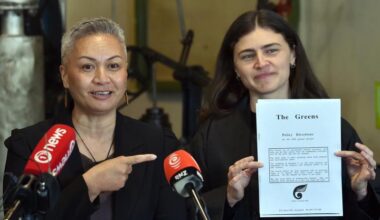 Greens unveil cheaper, cleaner energy policy