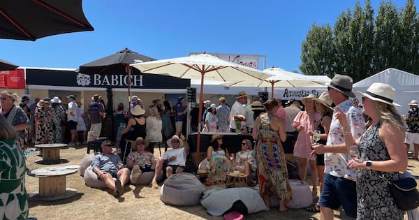 Marlborough festival weekend set to lose wine and music event