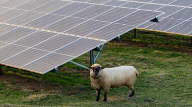 Energías Renovables