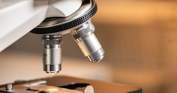 Men discover they were switched at birth 38 years ago after DNA tests