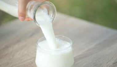 NZ cements leading position in global dairy market, accounting for 22% of exports