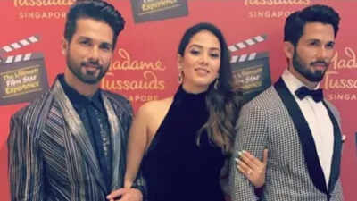 Mira Kapoor says 'When 1+1 = 11', wishes Shahid Kapoor on their wedding anniversary