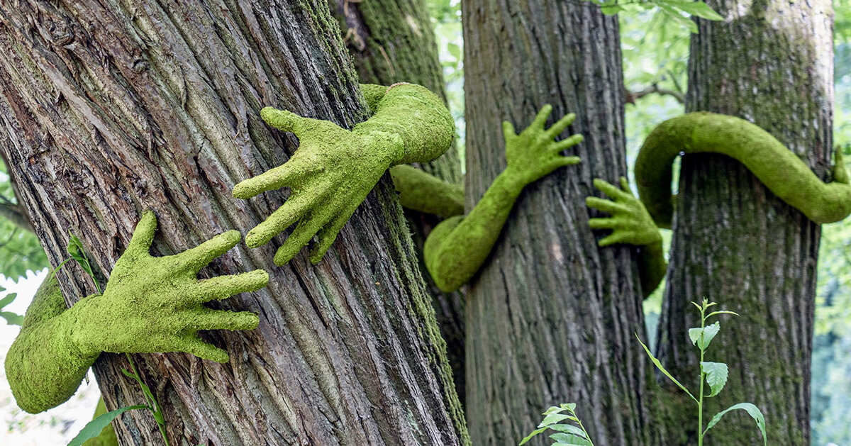 monsieur plant wraps sculptural human arms around trees