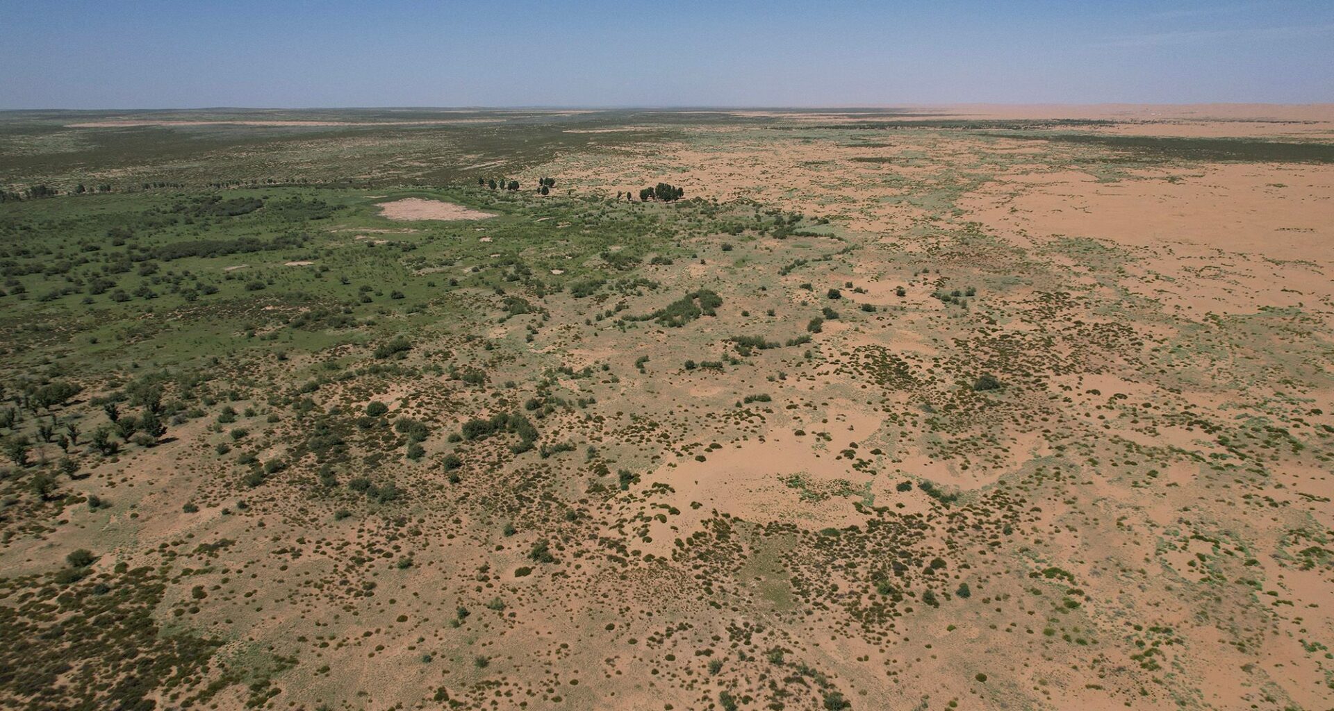 66 billion trees have been planted in China's Great Green Wall — and they appear to be growing faster than natural forests
