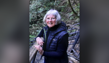 Police mobilise residents in search for Tasman 80-year-old