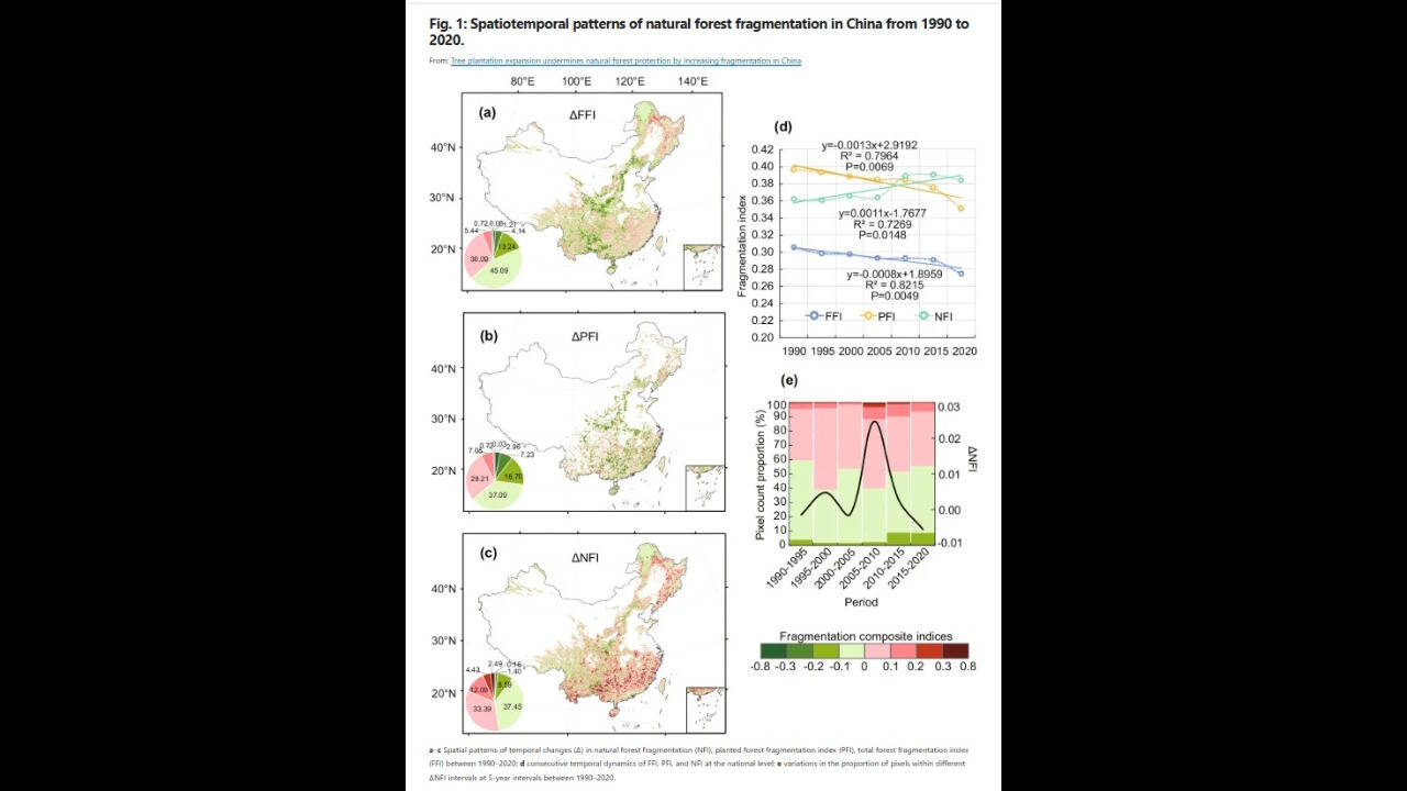 Natural forest fragmentation in China (Picture: Nature portfolio) Natural forest fragmentation in China (Picture: Nature portfolio)