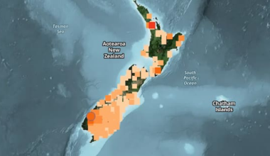 NEMA sorry after website outage during Fiordland tsunami warning
