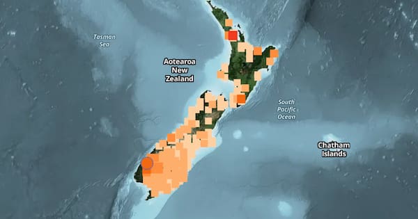NEMA sorry after website outage during Fiordland tsunami warning