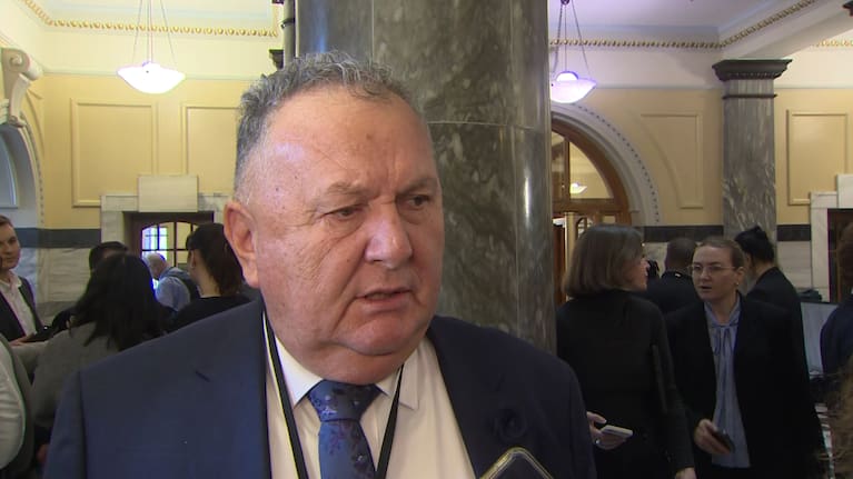 New Zealand First deputy leader Shane Jones.
