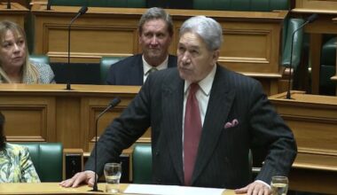 Peters rebukes Chinese ambassador over 'go back to your country' remark