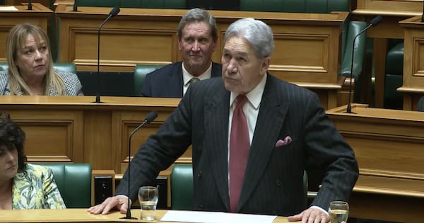 Peters rebukes Chinese ambassador over 'go back to your country' remark