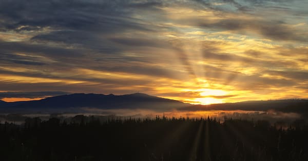 NZ experiences 'warmest June on record' – one city hit 26C