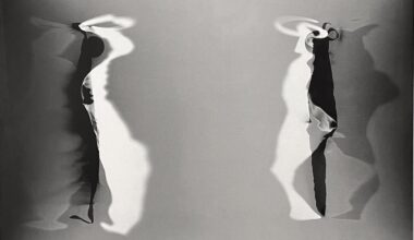 Von Lintel Gallery : Floris Neusüss & Christiane Feser : Unique Works in Photography