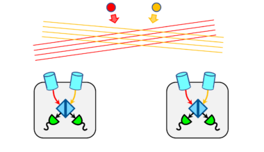 Labeled diagram of Graviational Wave Detection