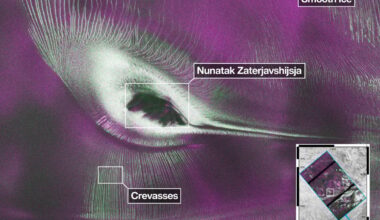 Color-coded NISAR radar image showing hummingbird-shaped nunatak Zaterjavshijsja in East Antarctica