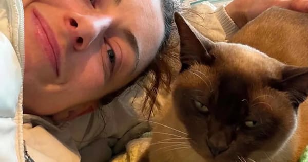 'A bit dumb': Cat rescued after hitching ride in Uber engine bay