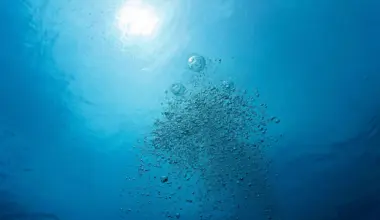 Earth’s waters are quietly running out of oxygen, scientists warn