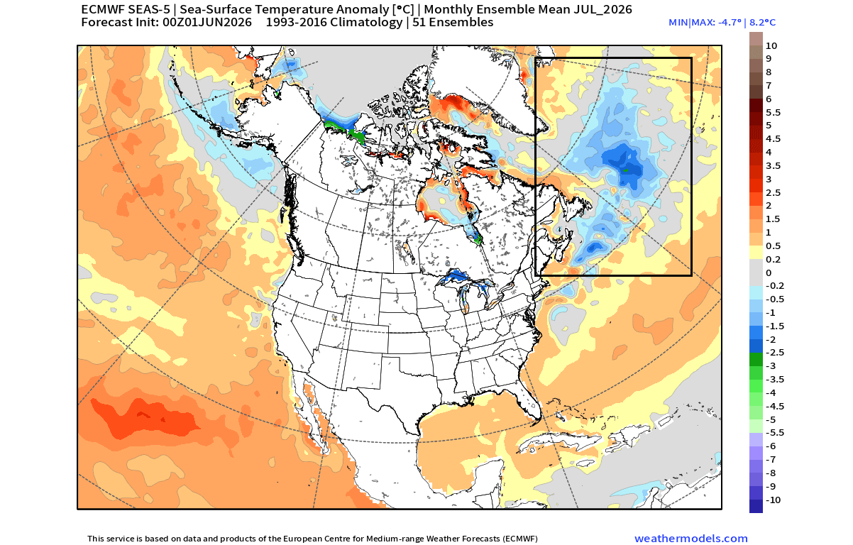 ocean-surface-temperature-anomaly-forecast-united-states-canada-ecmwf-atlantic-july-2026