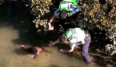 Missing boy found in Auckland mangroves after time critical search
