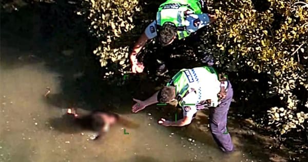Missing boy found in Auckland mangroves after time critical search