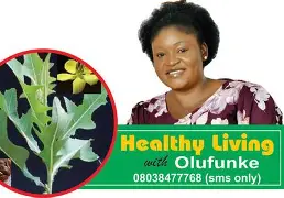 Olufunke Healthy Living