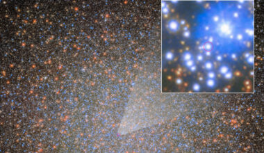Omega Centauri reveals its first confirmed stellar-mass black hole