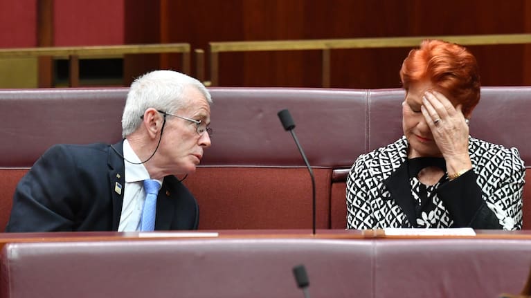 One Nation Senators Malcolm Roberts (left) and Pauline Hanson during Senate Business in the Australian Senate.
