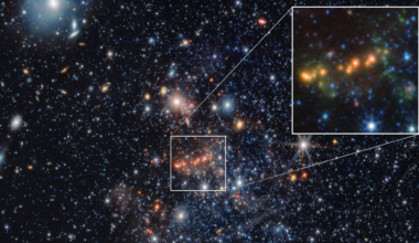 Using the James Webb Space Telescope, astronomers have discovered the secrets of early galaxies that pumped the infant cosmos full of dust, but by studying a much closer and more recent galaxy.