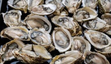 Southland seafood company fined $39k