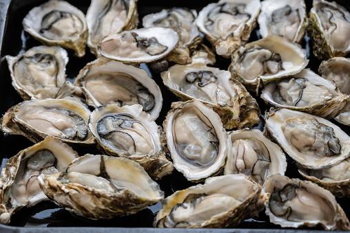 Southland seafood company fined $39k