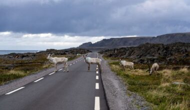 The lonely road to Europe's Arctic edge