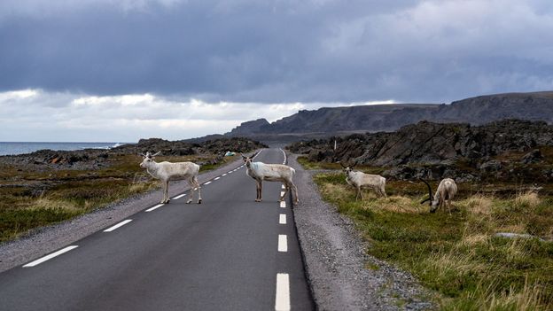 The lonely road to Europe's Arctic edge