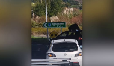Watch: Pāpāmoa dad struck by reversing car during road rage attack