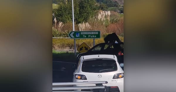 Watch: Pāpāmoa dad struck by reversing car during road rage attack