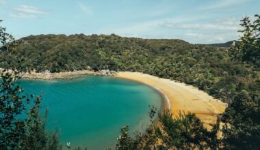 Mayor’s concerns over Abel Tasman Park brushed off