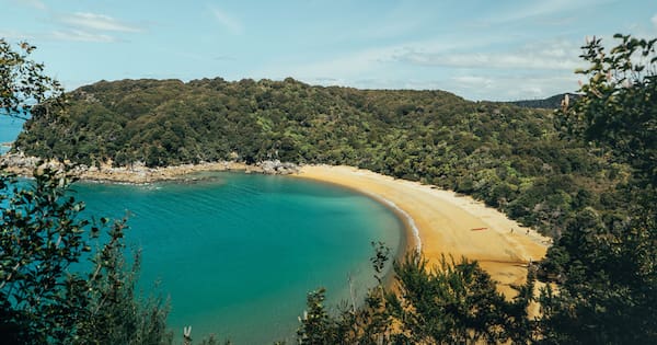 Mayor’s concerns over Abel Tasman Park brushed off