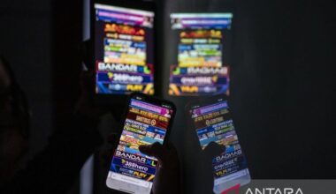 Govt-Meta joint team key to combating online gambling: Expert