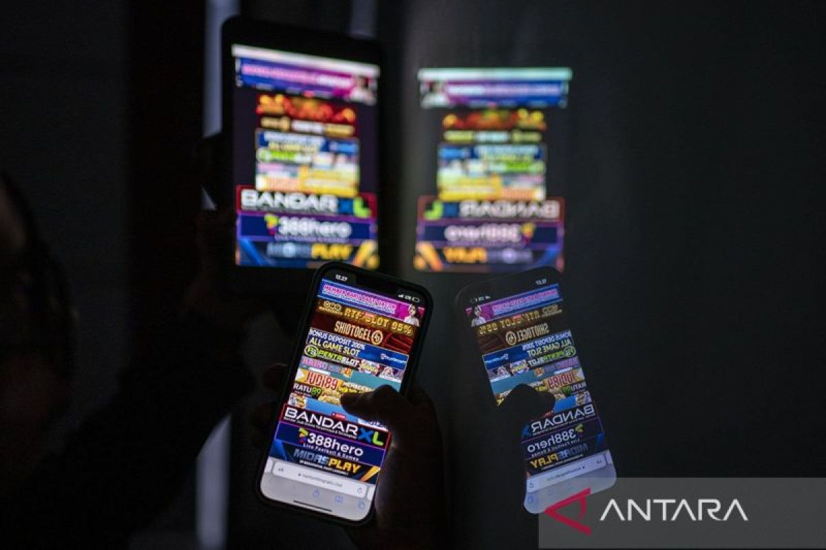Govt-Meta joint team key to combating online gambling: Expert
