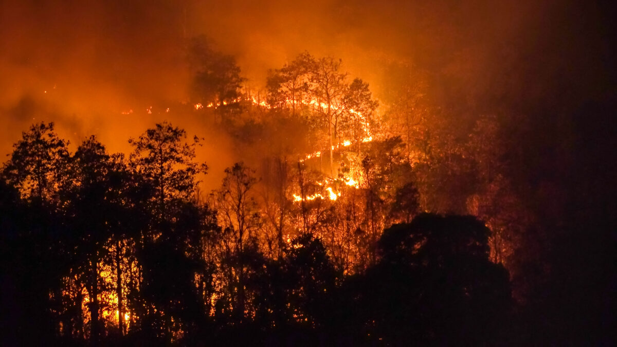 Photo shows a large wildfire. Extreme heat has hit Europe for the third time this year, leading to raging wildfires in Portugal, Spain, France and Greece