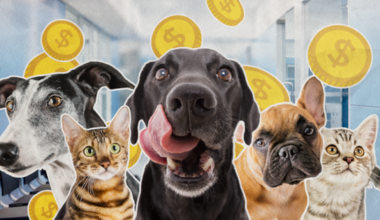 The dog and cat breeds triggering the most pet insurance payouts