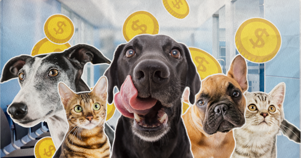 The dog and cat breeds triggering the most pet insurance payouts