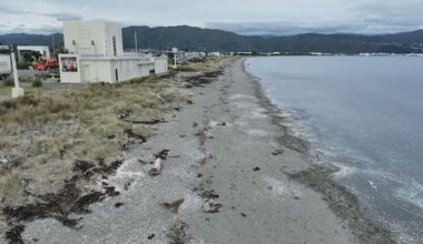 Case of H5 bird flu confirmed in New Zealand