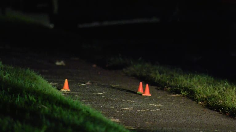 Police investigate the scene of an alleged assault on Valley View Rd.